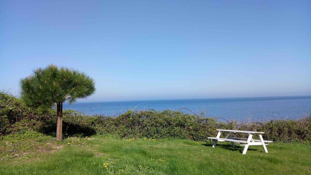 Les Graves Villa Villerville Dış mekan fotoğraf