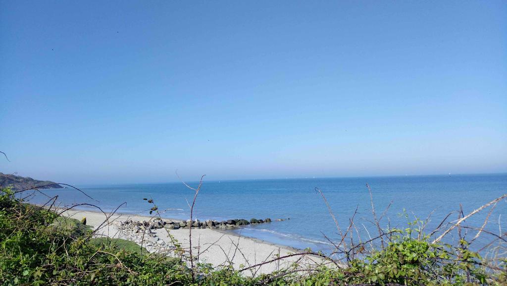 Les Graves Villa Villerville Dış mekan fotoğraf