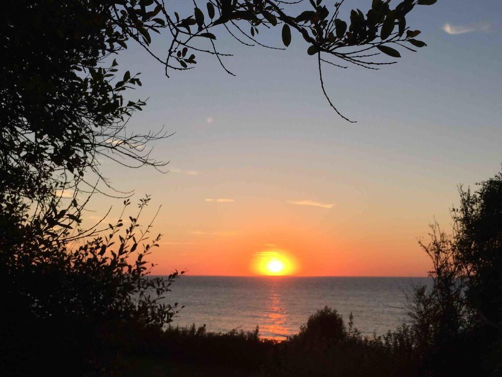 Les Graves Villa Villerville Dış mekan fotoğraf